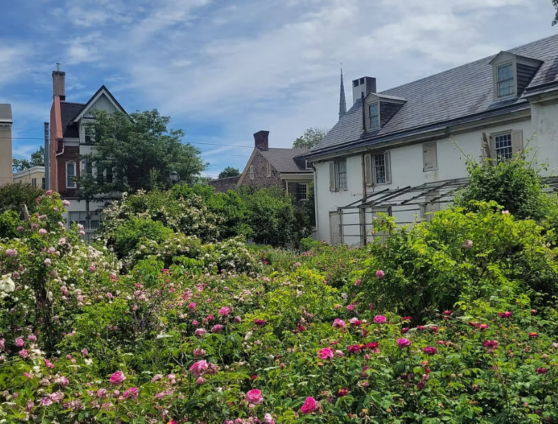 Henry Foundation for Botanical Research, United States